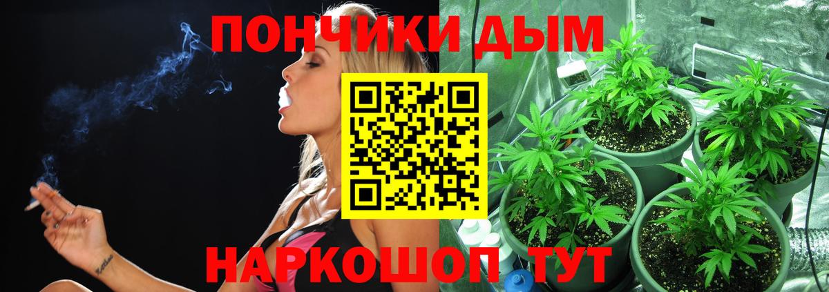 Конопля индика  Канабис гибрид  Полысаево  Вход с VPN  Конопля тримм  Каннабис индика 